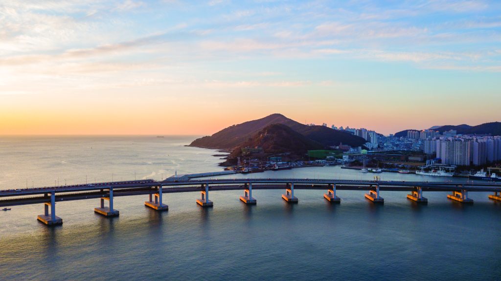 부산달리기 이용약관의 목적과 기본 원칙